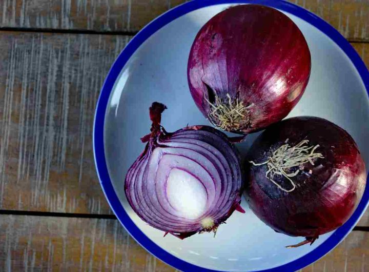 Cipolla in cucina problema disgustoso