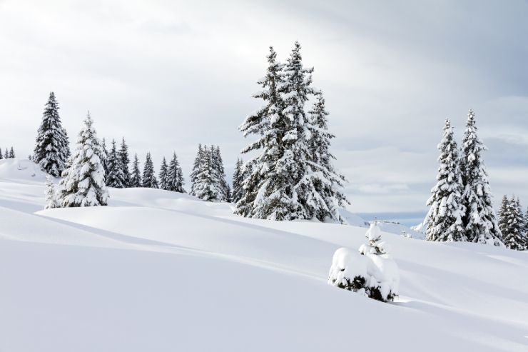 Montagna neve