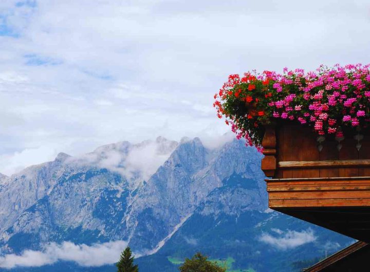 come avere il balcone fiorito anche in inverno