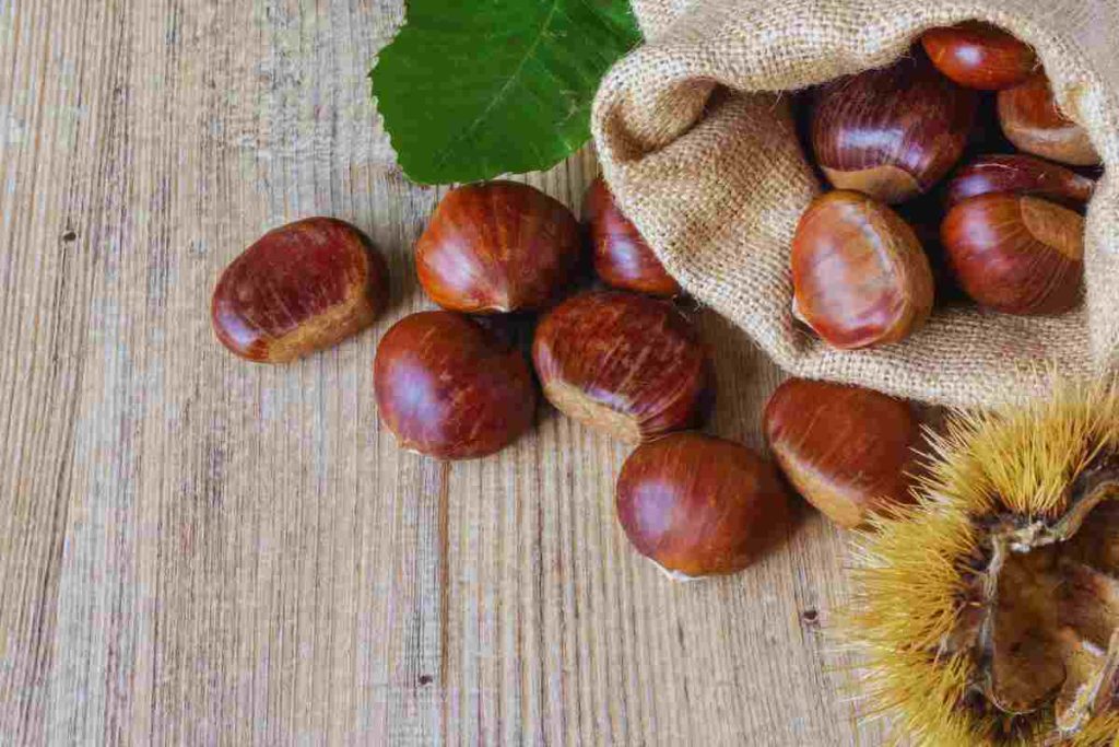 la preparazione con le castagne buona e sfiziosa