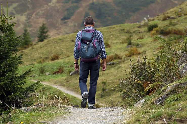 Uomo passeggia in un sentiero