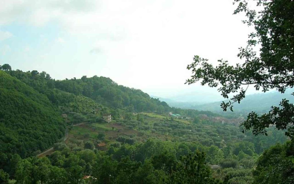 Vista Parco del Cilento