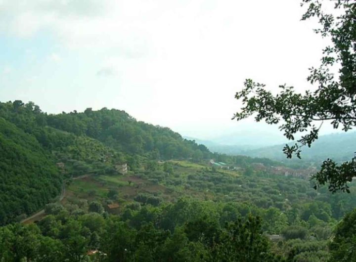 Vista Parco del Cilento