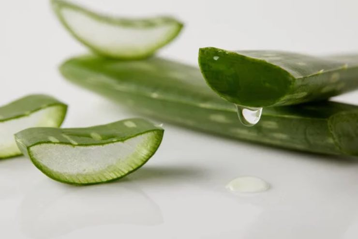 Aloe Vera motivi per bere succo