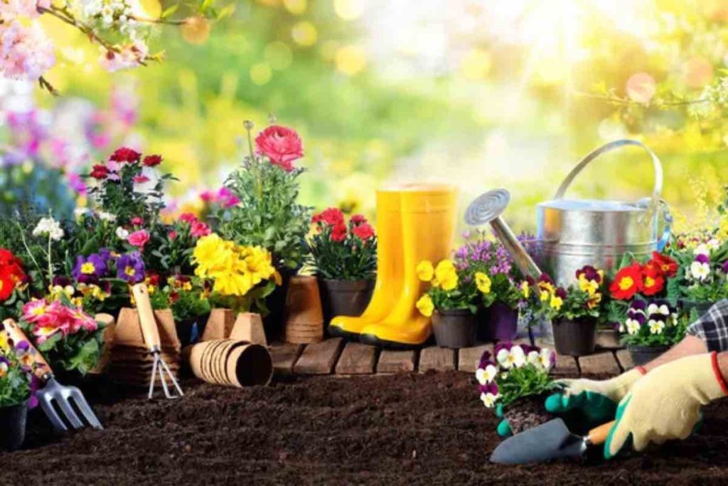 Prepara giardino primavera pochi trucchi spazio verde perfetto