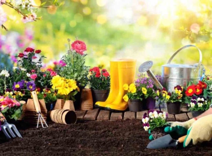 Prepara giardino primavera pochi trucchi spazio verde perfetto